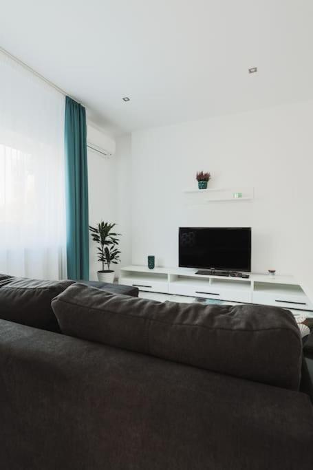 Ambassador Apartment Baia Mare Dış mekan fotoğraf